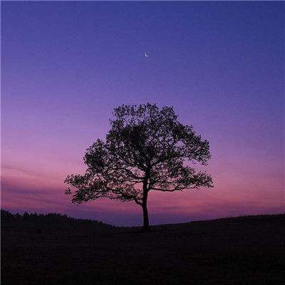 pg电子下载网址