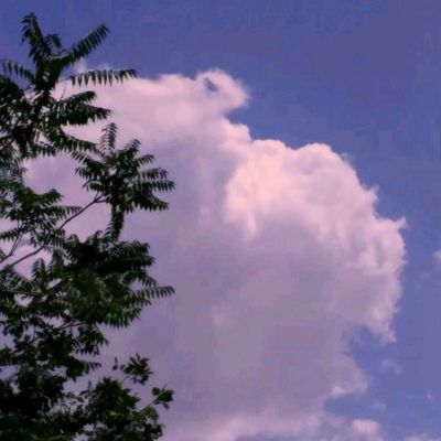 乐鱼竞彩官网app下载截图